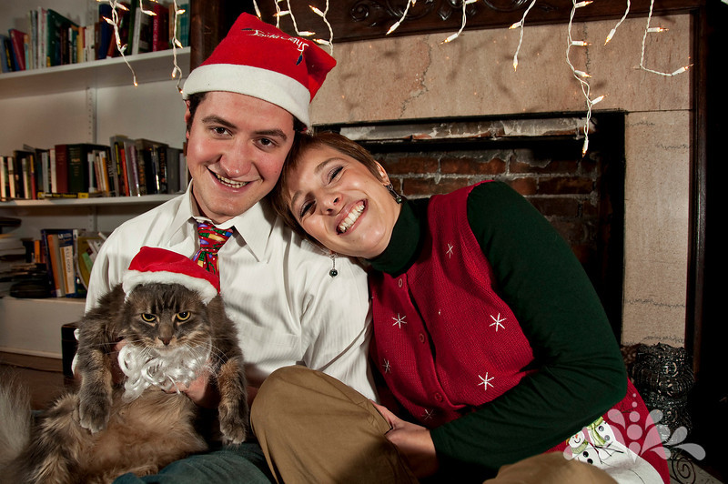 Santa cat