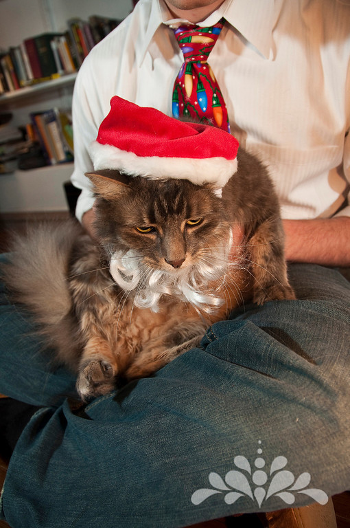 Marty is clearly NOT amused