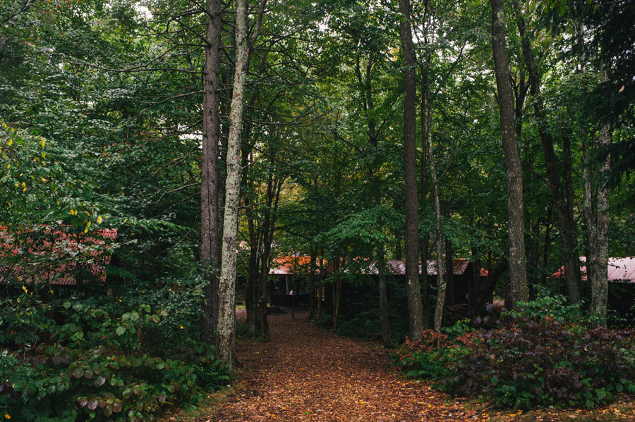 Adirondack Woodcraft Camp Wedding 09