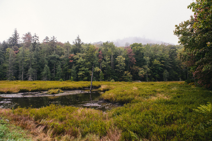 Adirondack Woodcraft Camp Wedding 61