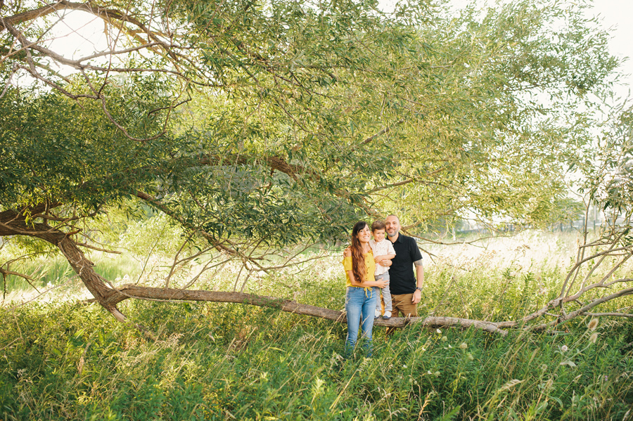 far shot of family posing for camera in field with large tree